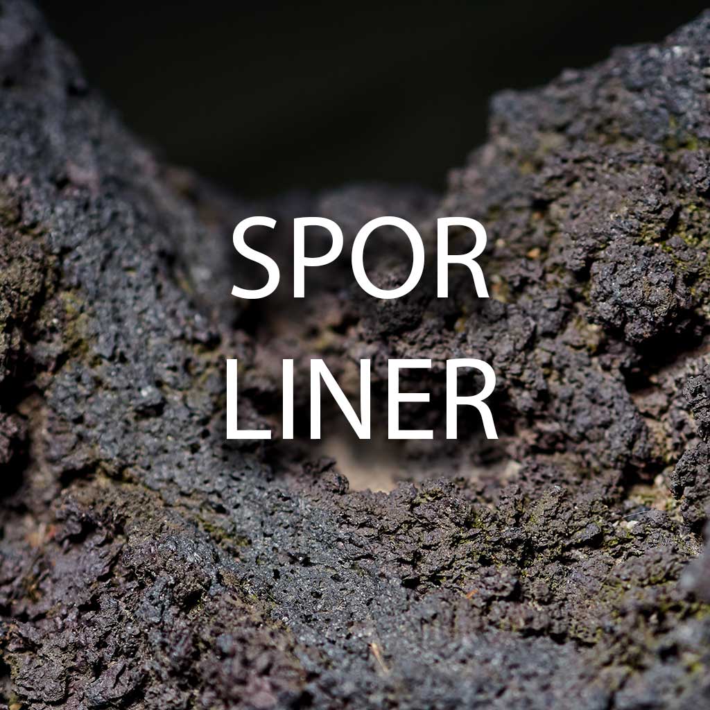 Liner/ Sporliner Billede